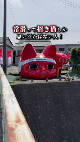 PhotripのTikTok投稿