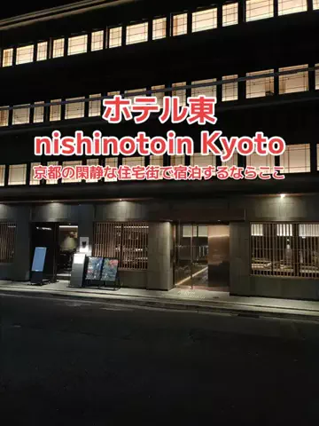 野良猫　イチくんとナナちゃんのTikTok投稿