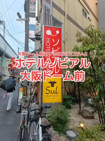 野良猫　イチくんとナナちゃんのTikTok投稿