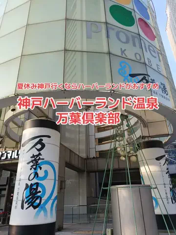 野良猫　イチくんとナナちゃんのTikTok投稿