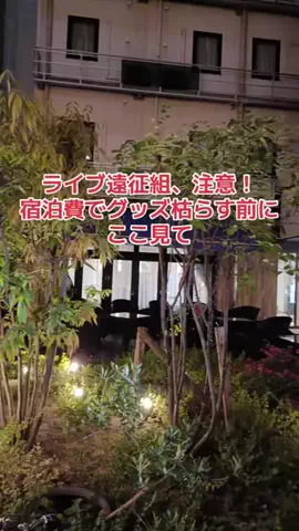 野良猫　イチくんとナナちゃんのTikTok投稿