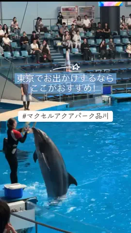 めー@癒しの風景のTikTok投稿