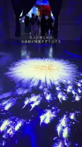 めー@癒しの風景のTikTok投稿