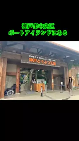 ホテル紹介チャンネルのTikTok投稿