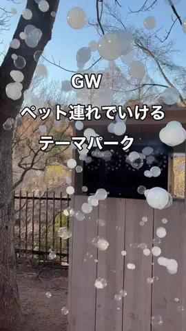 いい日旅立ちのTikTok投稿