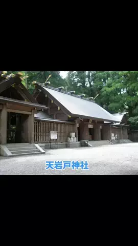 ホテル紹介チャンネルのTikTok投稿