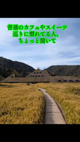 ホテル紹介チャンネルのTikTok投稿