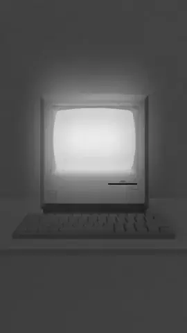 チータのTikTok投稿