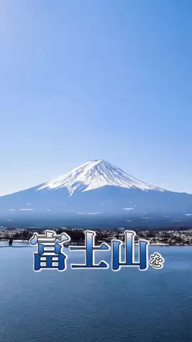 どうもプッカですのTikTok投稿