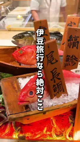 もじゃたび⌇静岡発✈︎旅行・観光・ホテルのTikTok投稿
