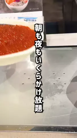 もじゃたび⌇静岡発✈︎旅行・観光・ホテルのTikTok投稿