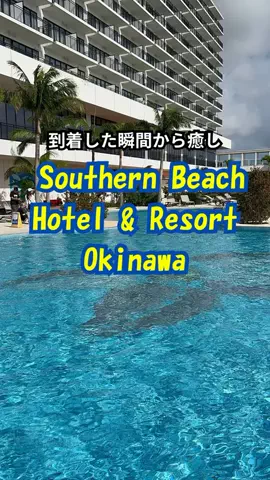 おっきー 🍍沖縄人のTikTok投稿