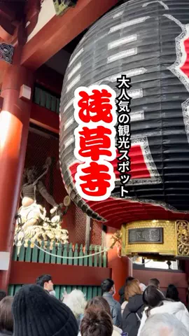 おっきー 🍍沖縄人のTikTok投稿