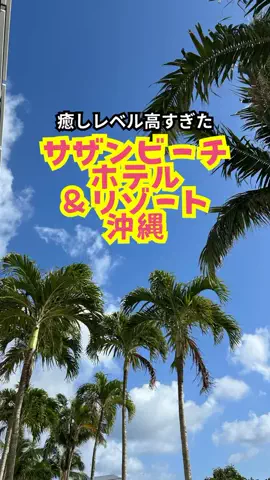 おっきー 🍍沖縄人のTikTok投稿