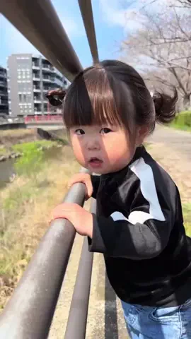 さらパパのTikTok投稿