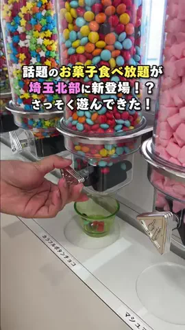 にーしゃ✎𓂃ほのぼの埼玉旅𓂃のTikTok投稿
