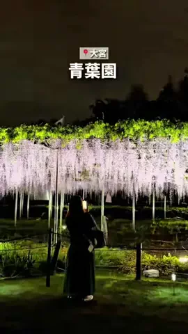 saitama_guide_mihoのTikTok投稿