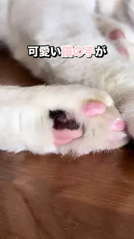 とく|"30秒でわかる"掃除✖️収納術のTikTok投稿