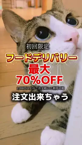 ドS猫の球太と三太とポンコツ母ちゃん⚾️😸のTikTok投稿