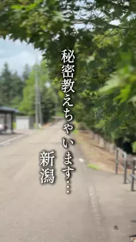 ハル｜新潟グルメ＆カフェ巡りのTikTok投稿