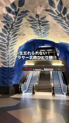 トンちゃん🐷ひとり女子旅のTikTok投稿