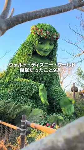 トンちゃん🐷ひとり女子旅のTikTok投稿