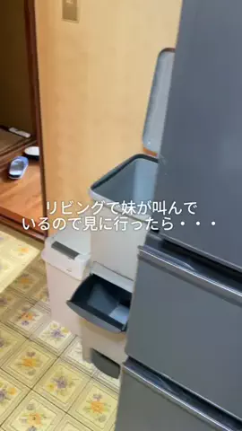 兄妹3人暮らしのTikTok投稿