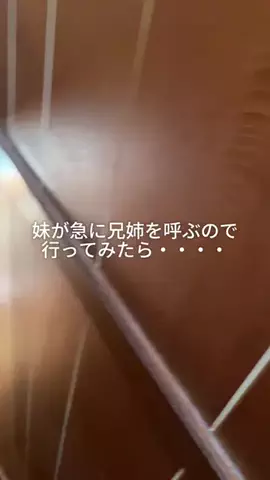兄妹3人暮らしのTikTok投稿