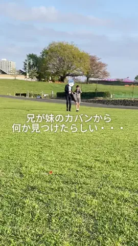 兄妹3人暮らしのTikTok投稿