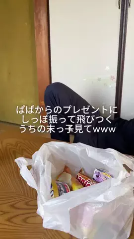 兄妹3人暮らしのTikTok投稿