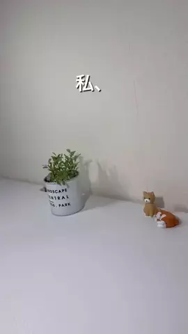 はるこ｜iPhoneかんたん便利術のTikTok投稿