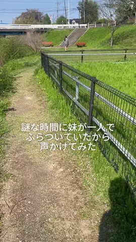 兄妹3人暮らしのTikTok投稿