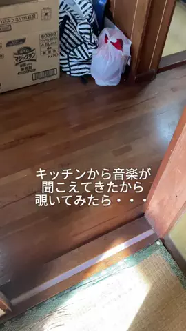兄妹3人暮らしのTikTok投稿