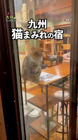 オジめし福岡筑豊のTikTok投稿