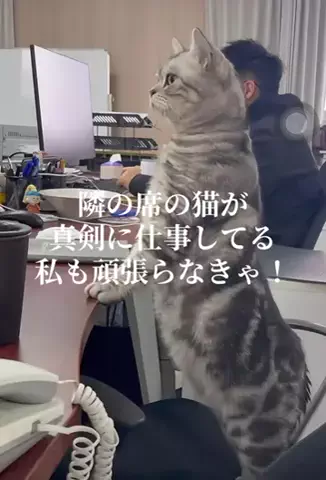 ゆなのTikTok投稿