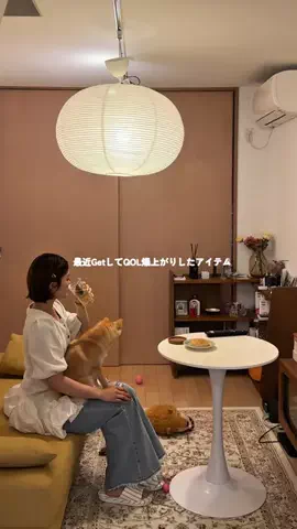 ほにょのTikTok投稿