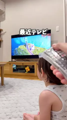しゃちのTikTok投稿
