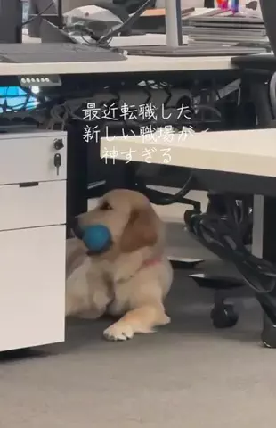 ゆなのTikTok投稿