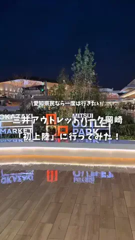 愛知おでかけ日記のTikTok投稿