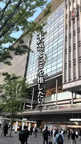 ドンマンログ【福岡居酒屋/福岡ランチ】のTikTok投稿