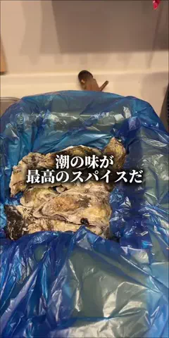焼きビーフンのTikTok投稿