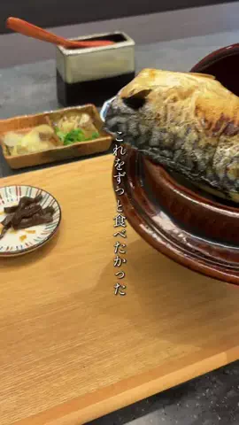 ぼっちのアラレちゃんのTikTok投稿