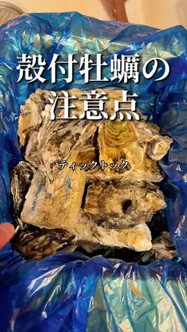 焼きビーフンのTikTok投稿