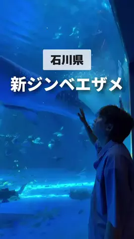 べこりぃ｜北陸👌スポットのTikTok投稿