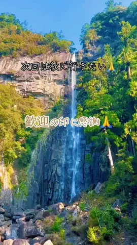 🛥️tama🐉のTikTok投稿
