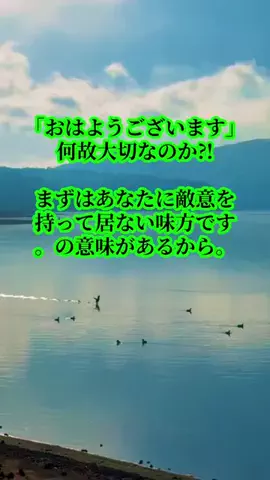 🛥️tama🐉のTikTok投稿