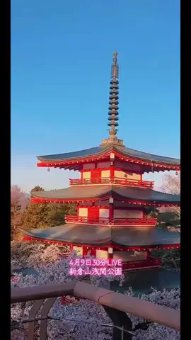 🛥️tama🐉のTikTok投稿