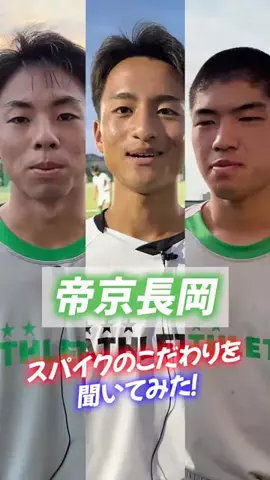 【公式】ヤンサカのTikTok投稿