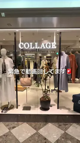 nokoのTikTok投稿