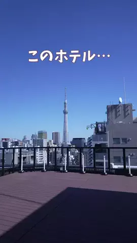 きゃんトラ/CamTravelのTikTok投稿